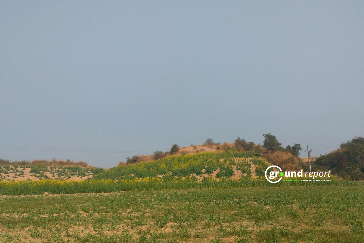 beehad of chambal
