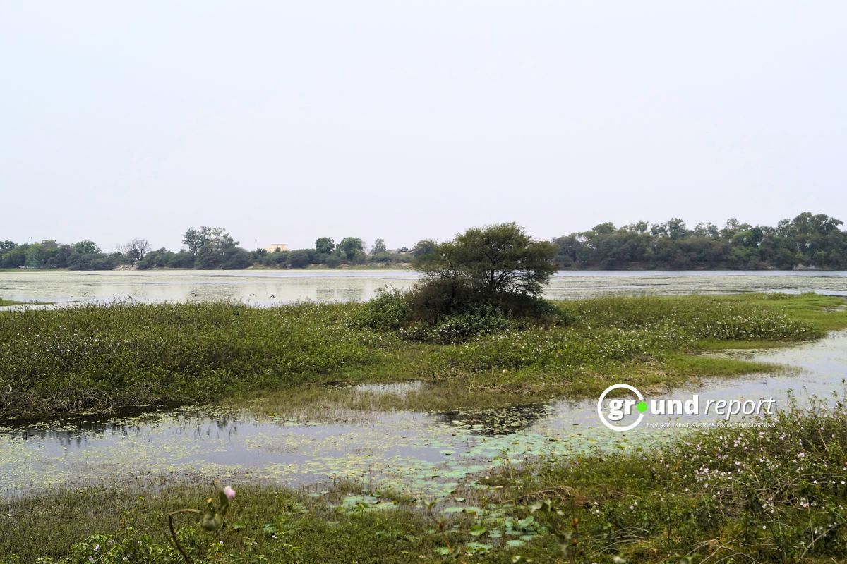 वेटलैंड सिटी के रूप में चुना गया इंदौर, भूपेंद्र यादव ने दी जानकारी