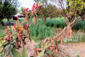 Mercury drops in Madhya Pradesh, new weather system from February 24