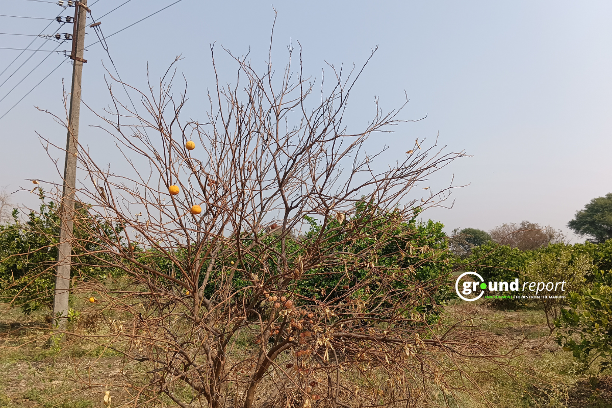 Mausambi Kisan