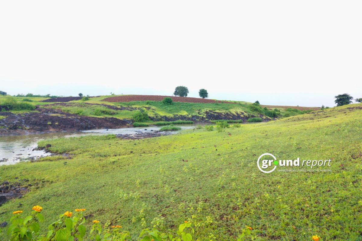 Govt in Lok Sabha announces organic farming boost with aid, markets