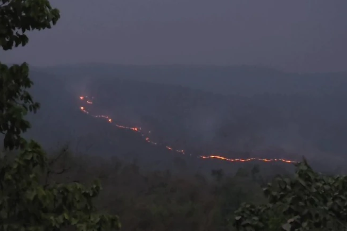 Forest fires rage in Chhattisgarh, thousands of hectares in danger