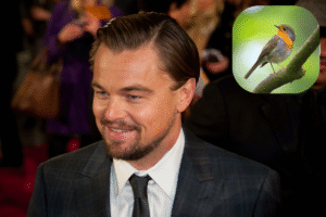 Leonardo DiCaprio slams Australia’s approval of controversial mine expansion