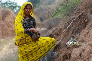 Goodness of Guggal: Fights soil erosion, boosts farmer income