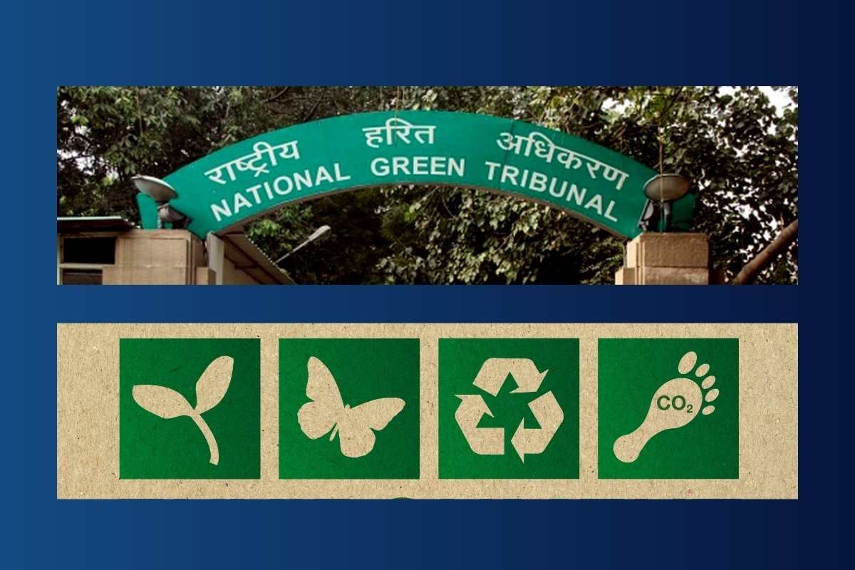 NGT Takes Up Case of 200 Illegally Felled Trees in Punjab's Kot Village