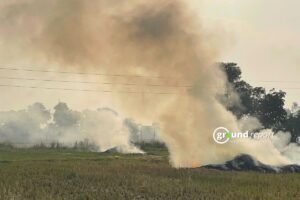 Yearwise paddy stubble burning cases recorded in Madhya Pradesh