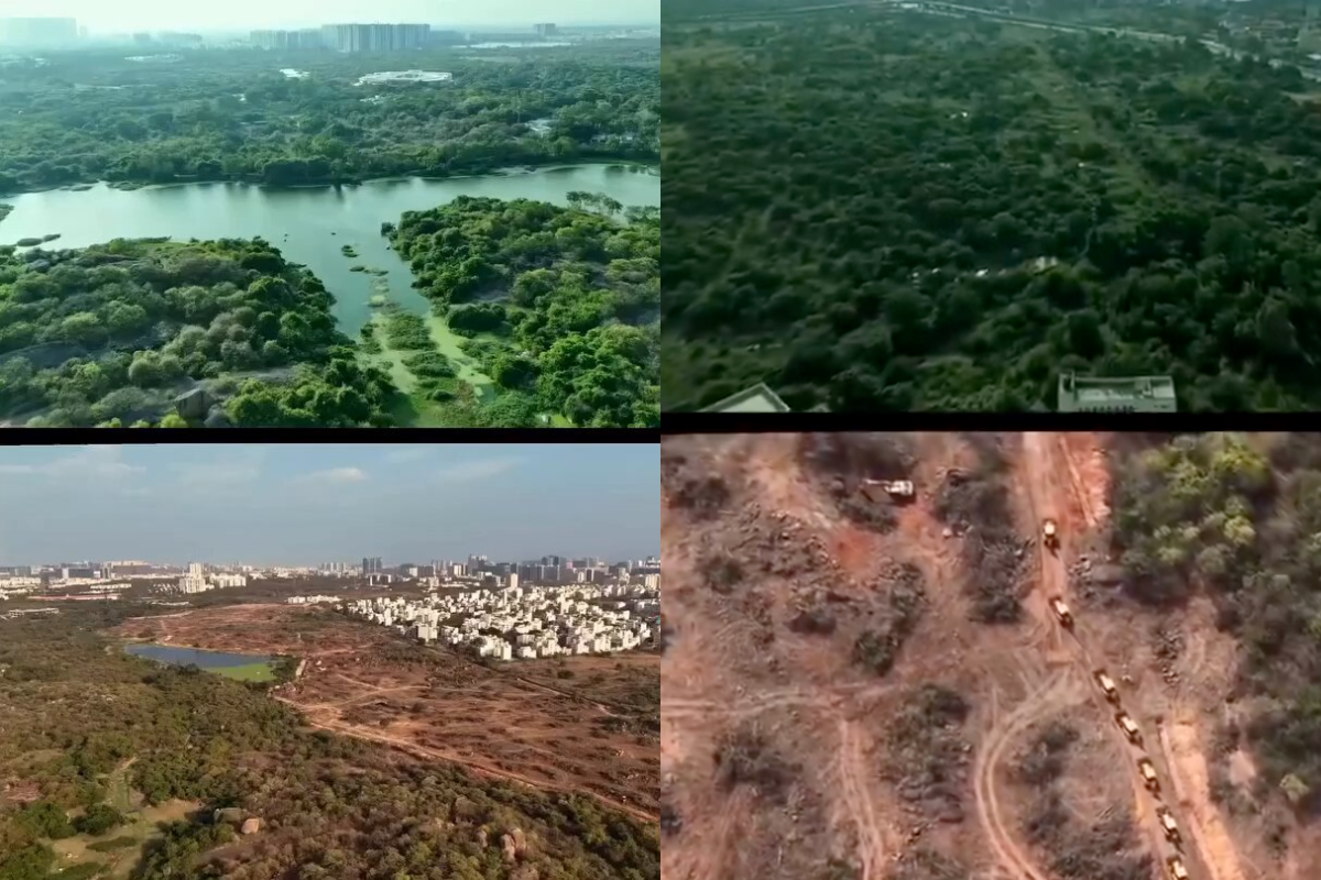 Before and after images of Kancha Gachibowli forest area