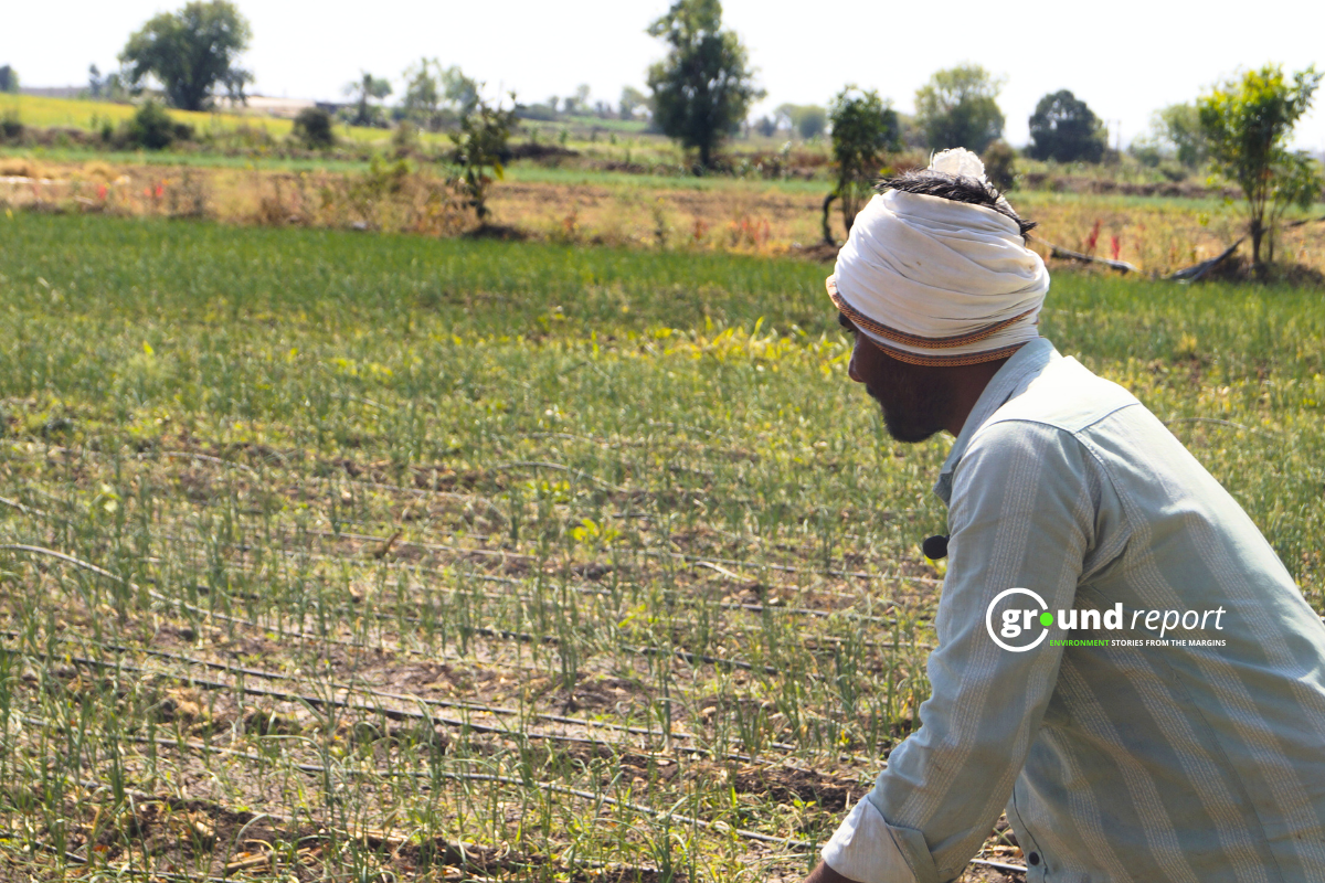 farmer khargone chilli