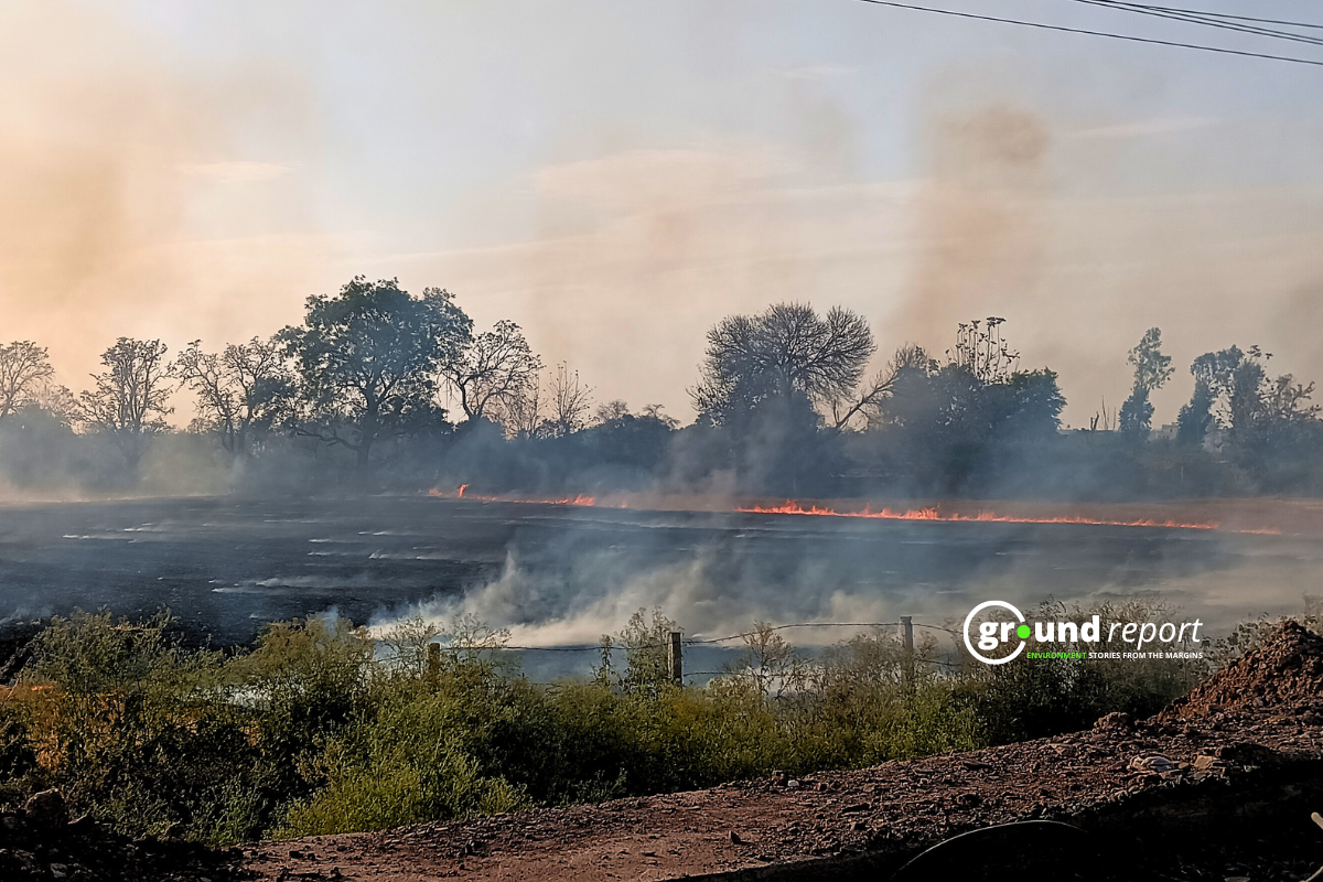 Yearwise stubble burning cases recorded in Rabi season in Madhya Pradesh