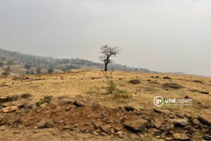 Hailstorm and thunderstorm alert issued for parts of Madhya Pradesh