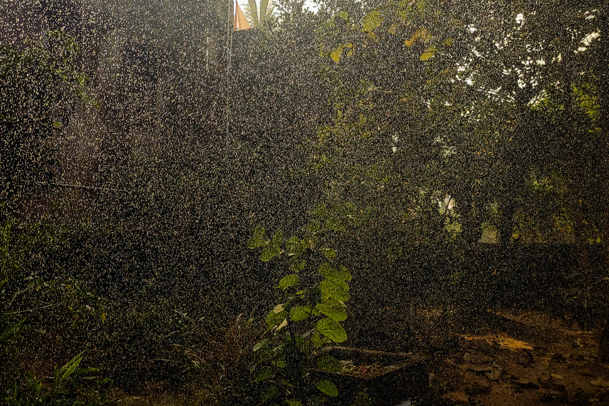 Thunderstorms likely in several parts of Madhya Pradesh this evening