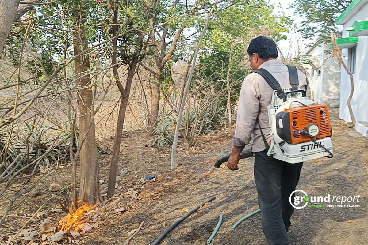 Forest Fires Burn 34,562 Sq Km Across India, Madhya Pradesh Among Worst Hit