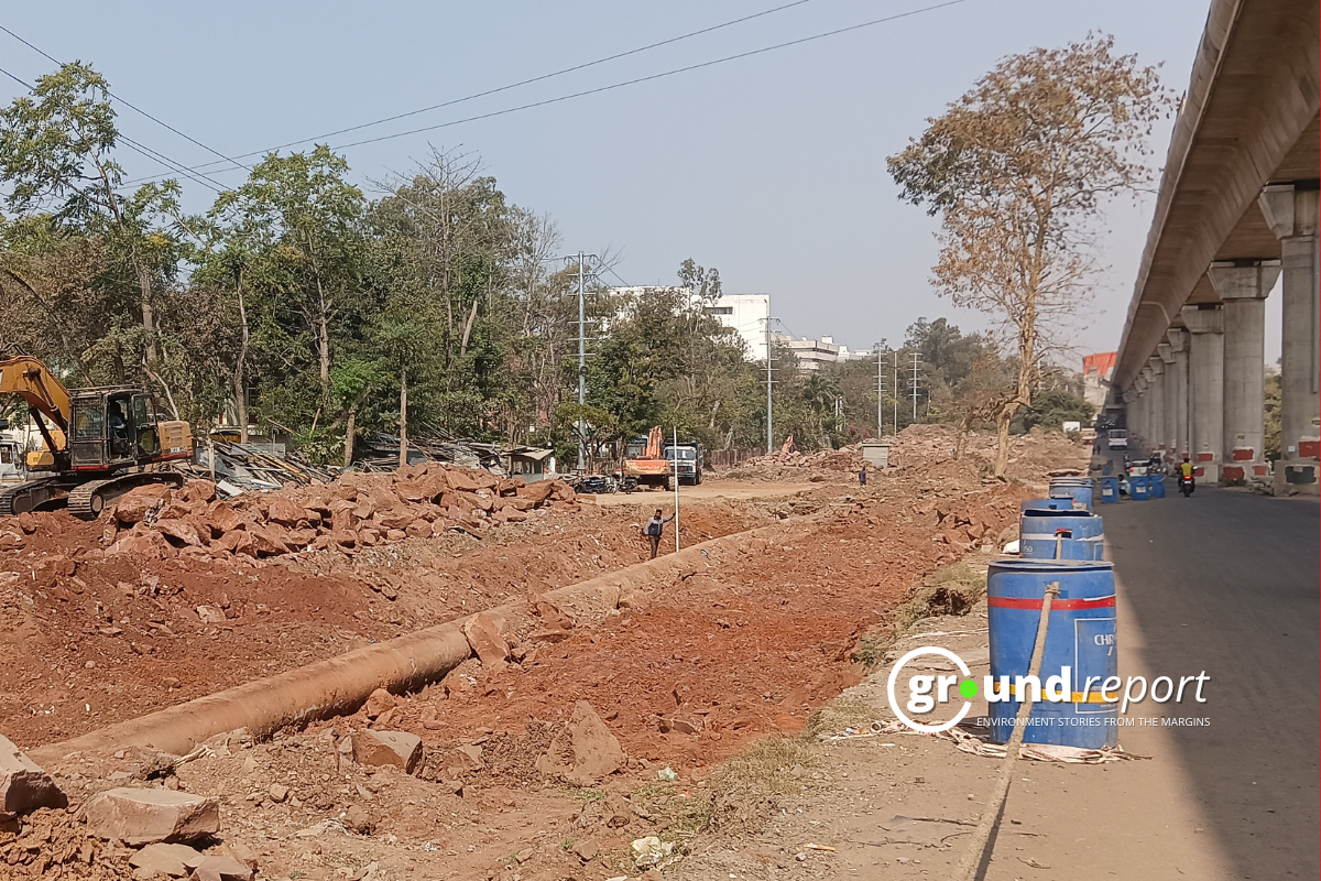 Bhopal tree felling