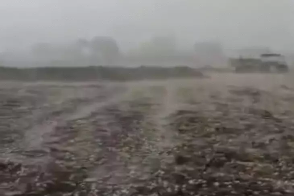 Heavy rain, storms, and hailstorm alerts in Bhopal and 16 MP districts