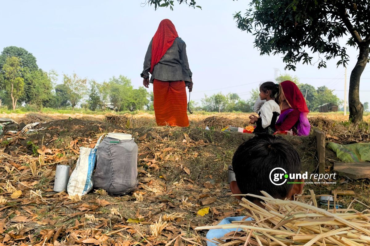 What IMD Data Says About Madhya Pradesh Weather in April