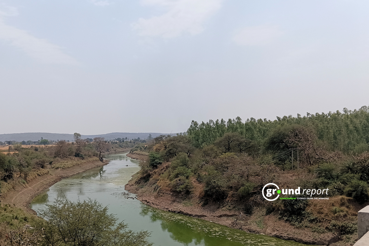 Who Blocked Birth of Betwa River? NGT Orders Urgent Action