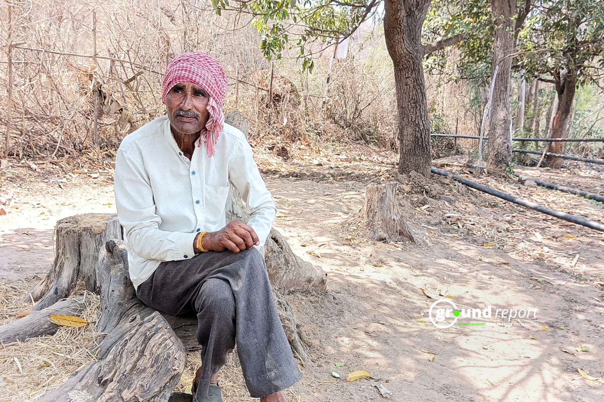 farmer tiger conflict imaliya