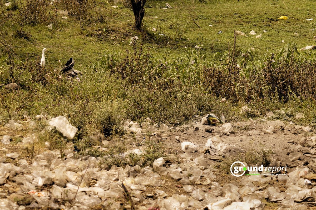 How can Bhoj wetland address the issue of microplastics910