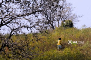19 Lakh Forest Rights Claims Rejected, 7.6 Lakh Still Pending: Govt in Lok Sabha