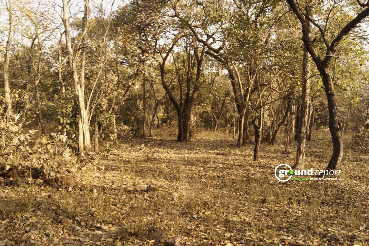 How Haryana Plans to Restore 25,000 Hectares of Degraded Aravalli Land