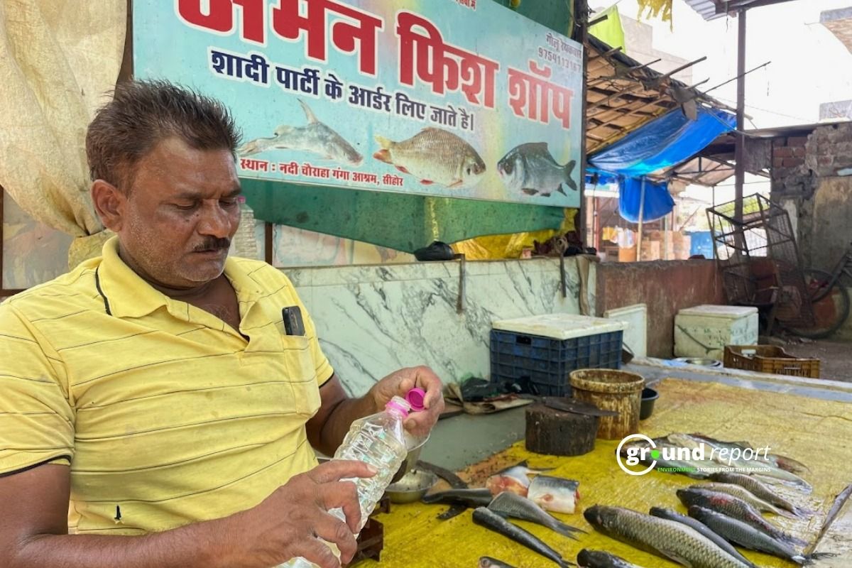Anil Raikwar at his fish shop in Sehore
