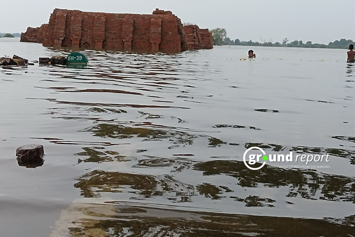 Very Heavy Rain Alert in Seven MP Districts: Narmada River Above Danger Mark