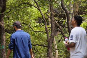 MP Wildlife Parks Reopen on October 1, But Will Pay More This Year