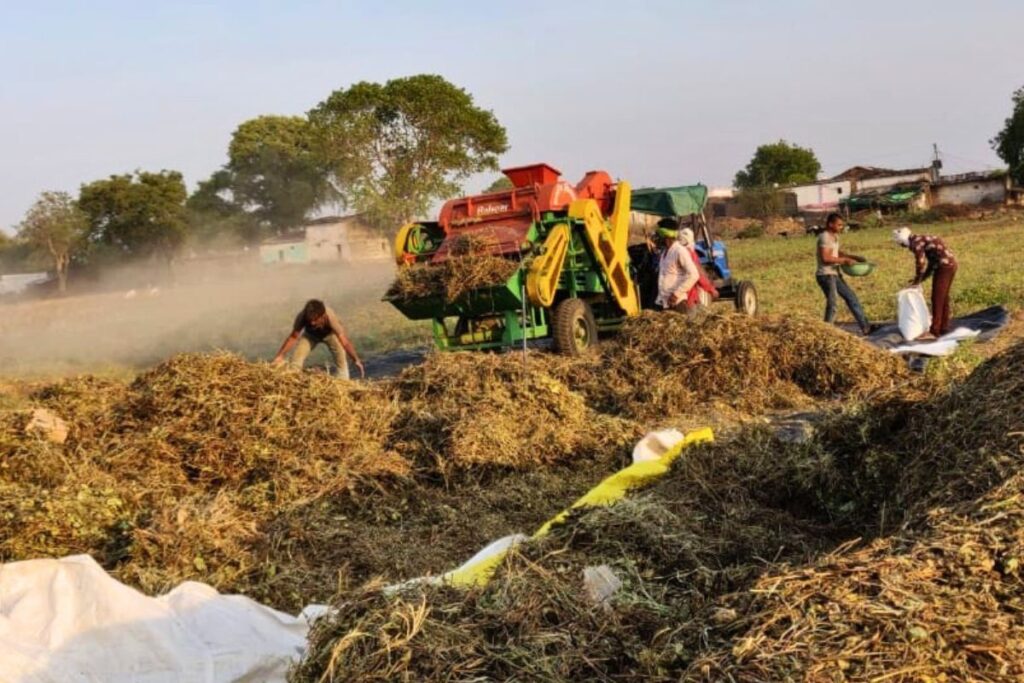 Moong Procurement in Madhya Pradesh
