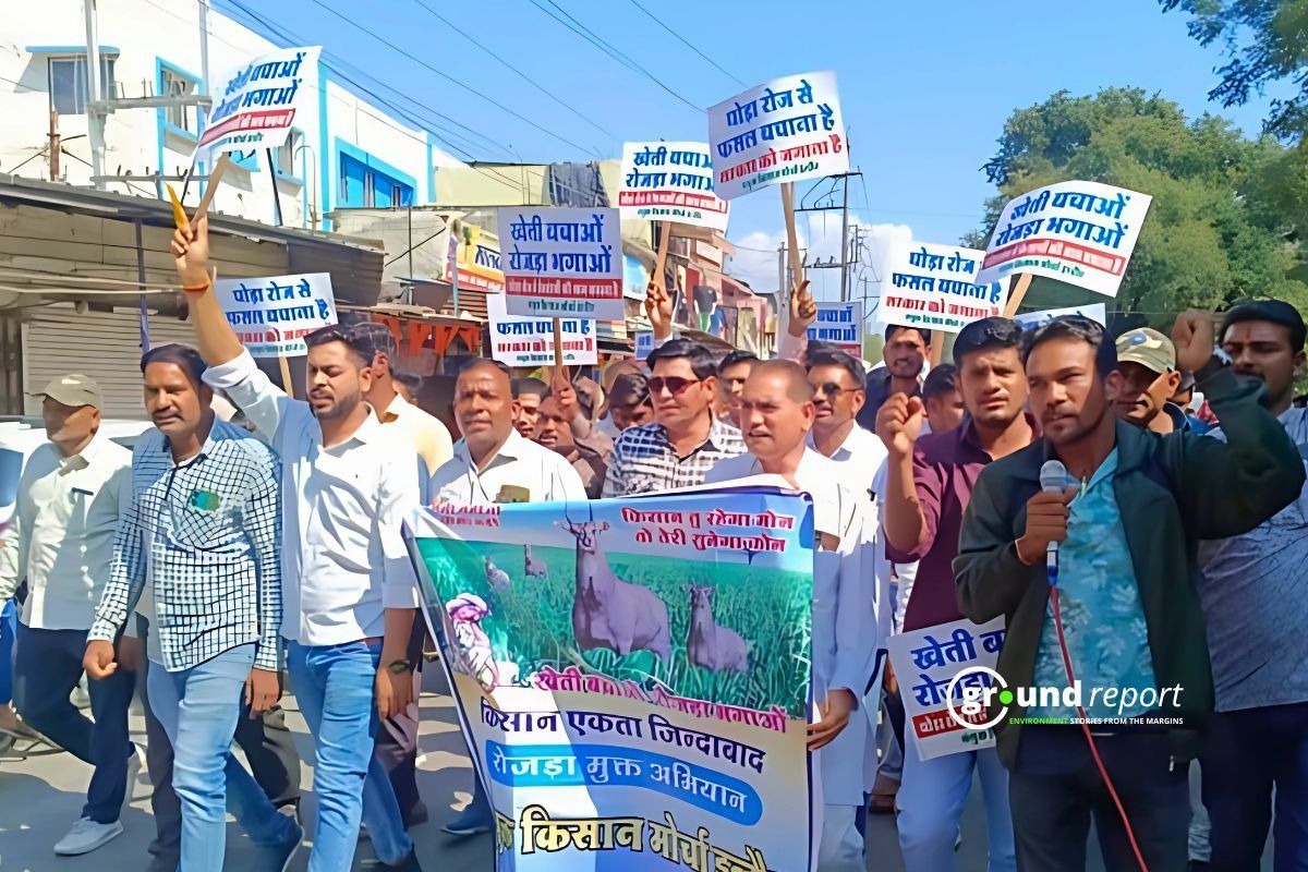 Farmers protesting against Nilgay Menace in Indore
