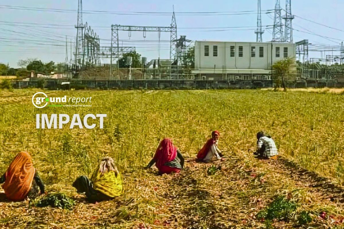 सरदारपुर पक्षी अभ्यारण्य का 215.28 वर्ग किलोमीटर क्षेत्र हुआ डिनोटिफाइड
