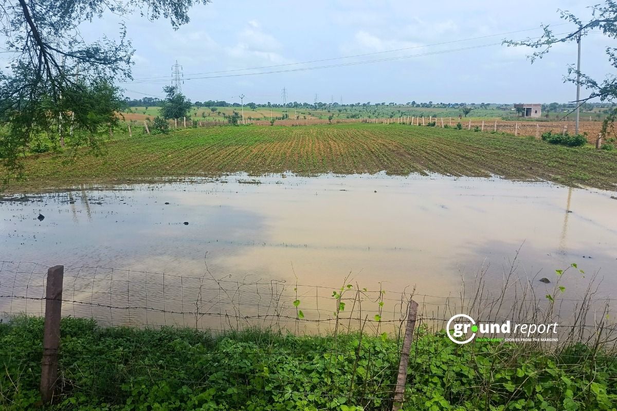 Stormy Weather Lashes Madhya Pradesh Fourth Time, Crops Hit