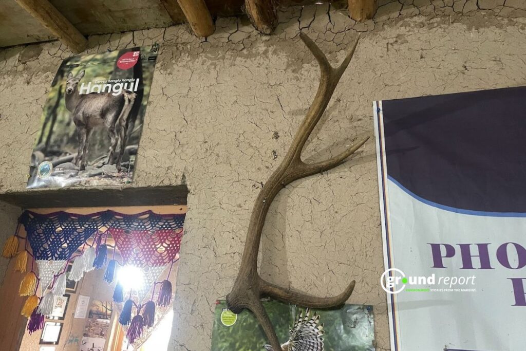 An antler from a hangul hangs on a mud wall inside an awareness center, symbolizing both memory and loss.