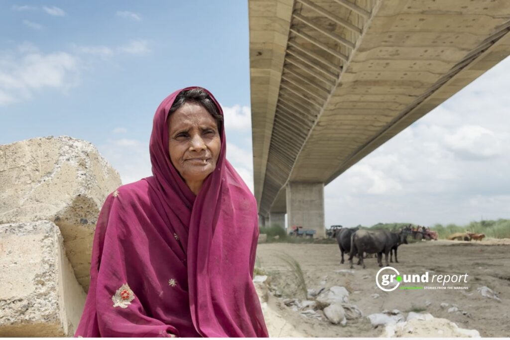 Kajal Devi grazes buffaloes near the Ganga river in Bhagalpur. Beside her is the under-construction Agwani-Sultanganj bridge. Photo Credit: Syed Abubakr for Ground Report