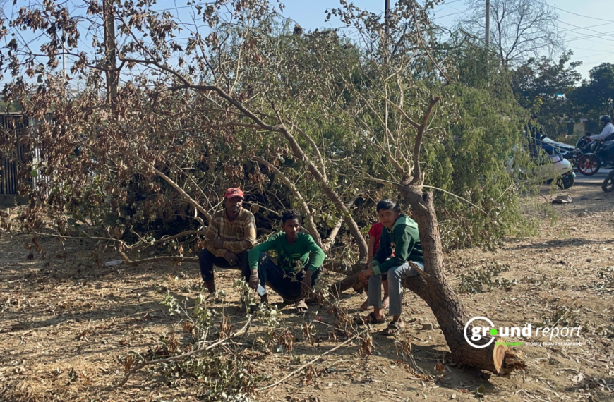 NHAI ने कोर्ट के आदेश के खिलाफ भोपाल में काट दिए 1500 पेड़