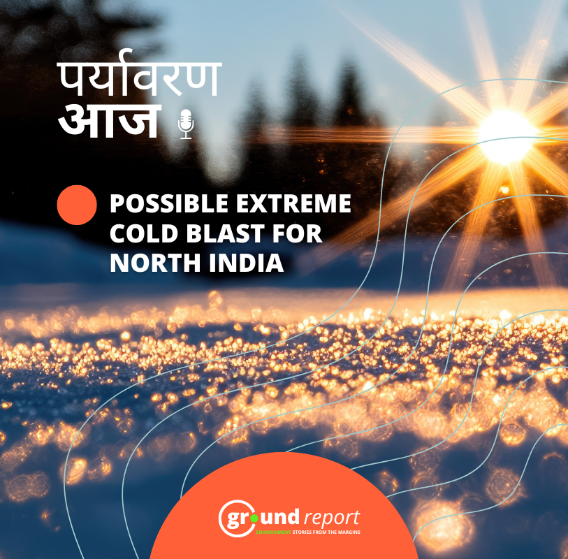 10 दिन में 20 मौत, कैसे एक हाथी बना डर का पर्याय