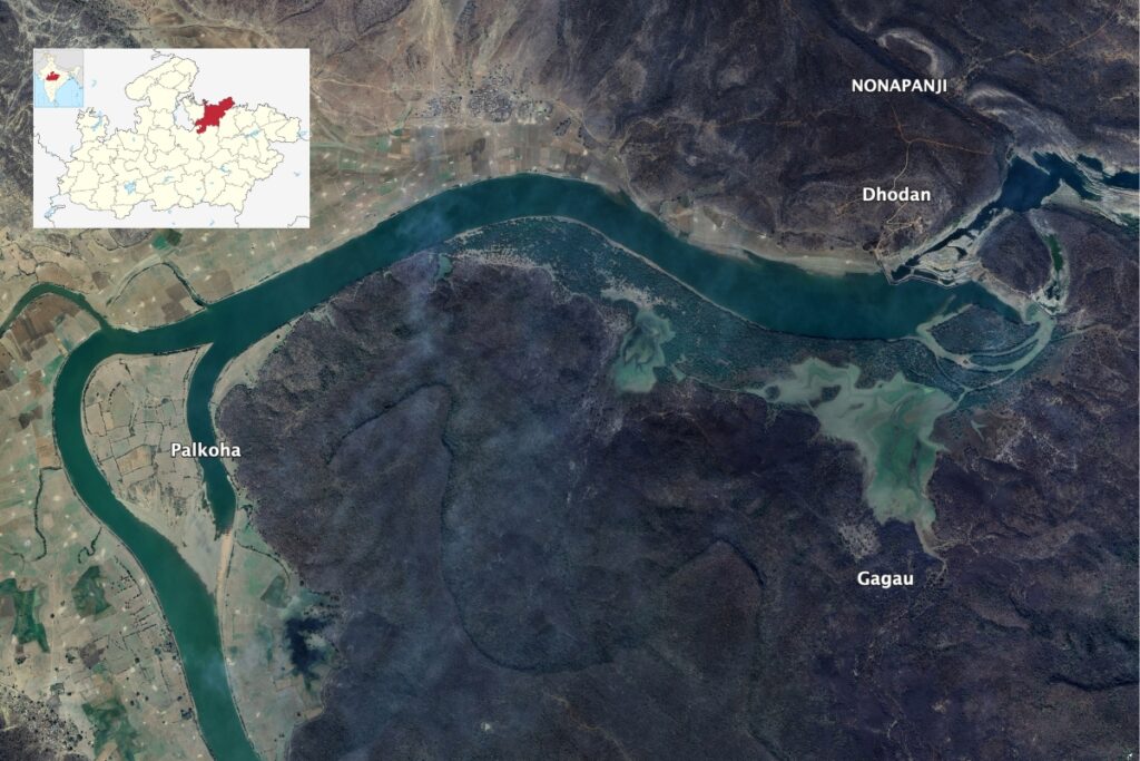 Showing Palkoha and Daudhan in Chhtarpur District of Madhya Pradesh. Source: Google Earth