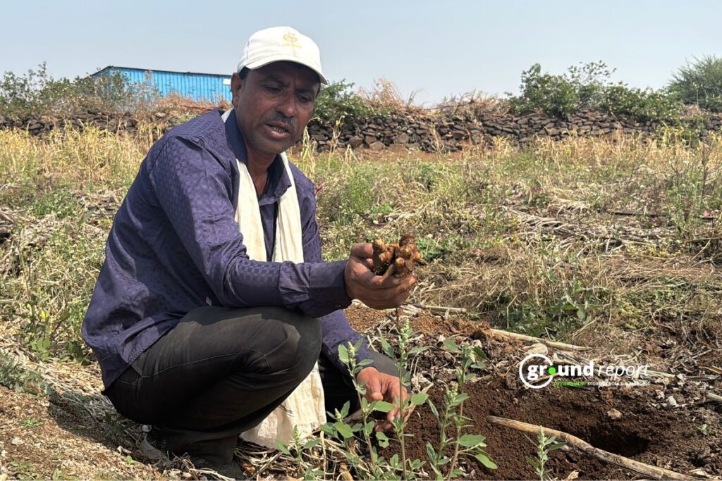 Mahesh, who previously held a private job, is now earning lakhs of rupees annually from turmeric. | Khargone | Credit: Shishir Agarwal