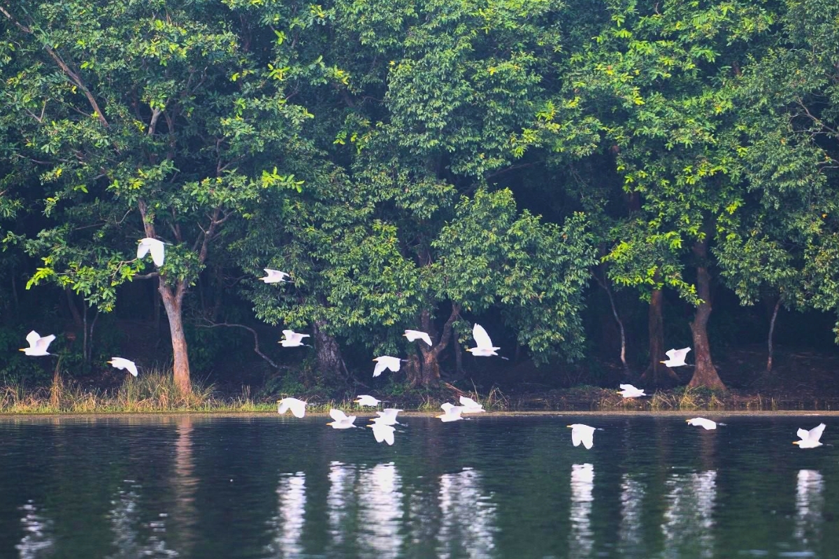 Wetlands in Bihar