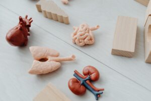 organ trade in pakistan