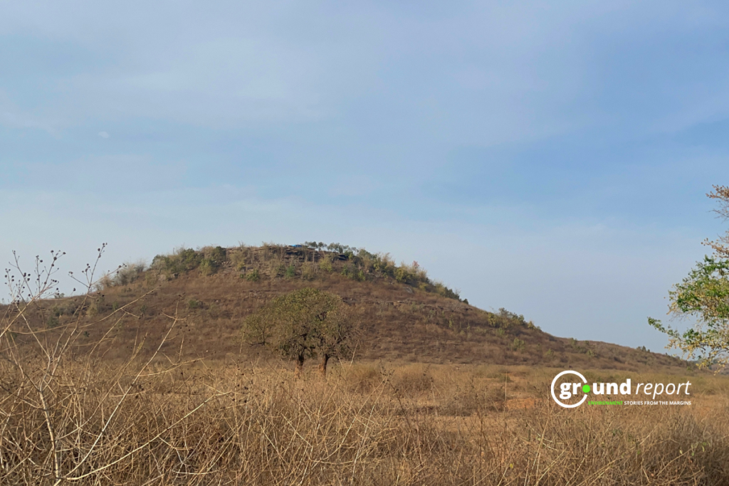 mauganj forest