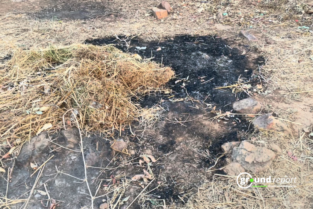 mauganj elephant fire