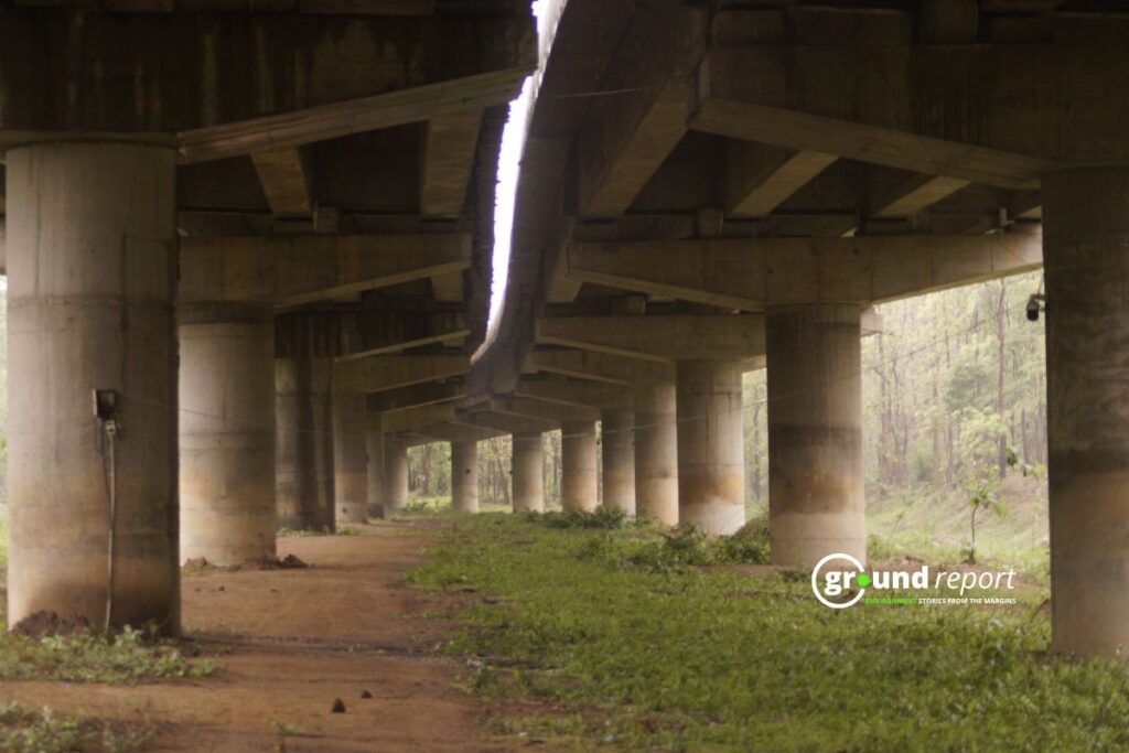 A concrete bridge cuts through the forest, creating a risky path for wildlife moving below.