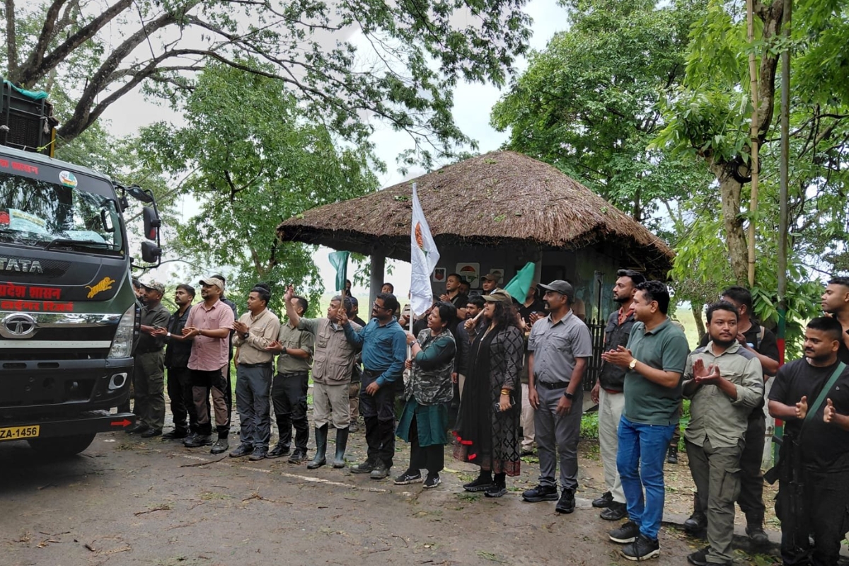 Wild Buffalo Reintroduction in Madhya Pradesh
