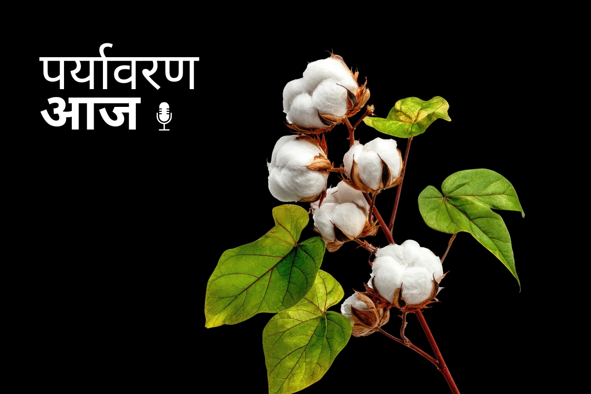 Mission Cotton Launched