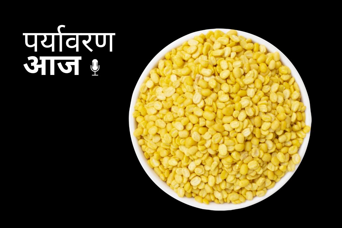 Pulses Mission India