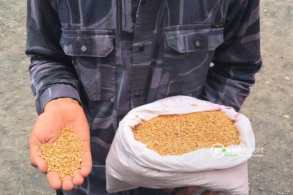 गेहूं का सैंपल लेकर कलेक्ट्रेट पहुंचे किसान