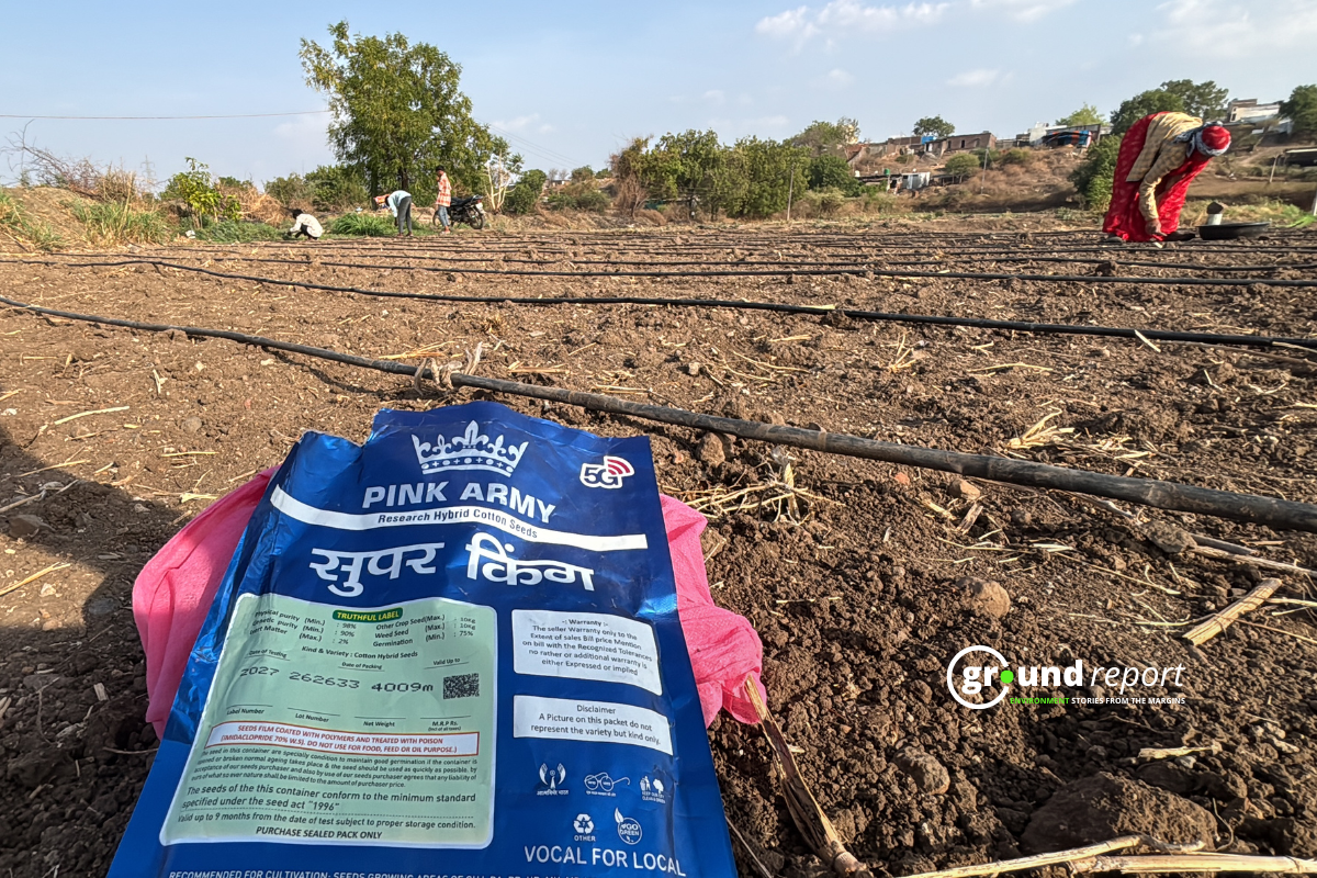 5G cotton Seed HTBT Cotton khargone