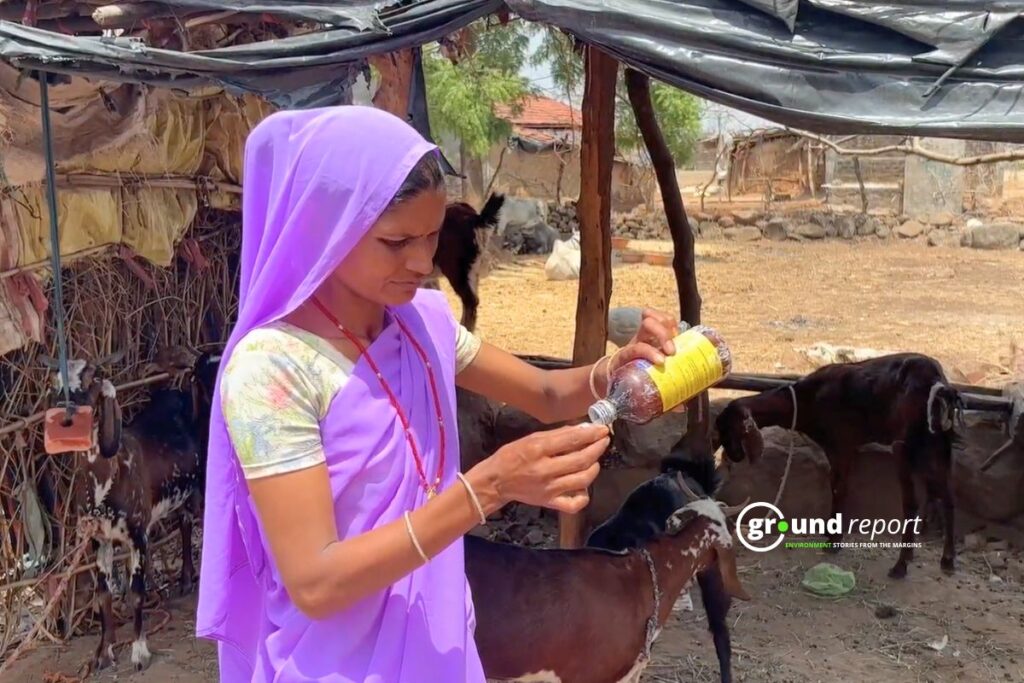 pashu sakhi story Jhabua 8