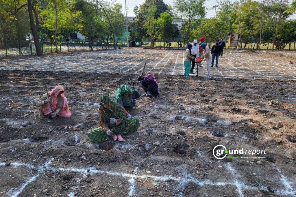 Workers dig holes at marked spots on the SGSITS campus in Indore. The plantation drive saw 3,500 people plant 8,000 saplings of 65 species over five days.