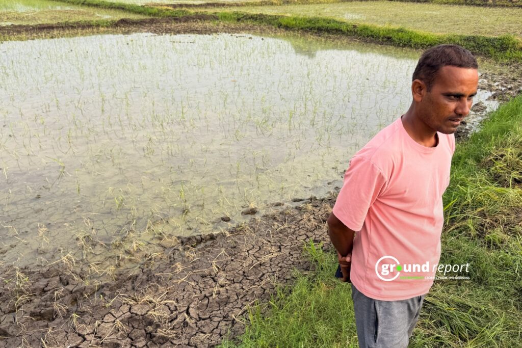 Farmer Rahul Patidar showing his withering crop in his field, Mugaliya Chhap village.